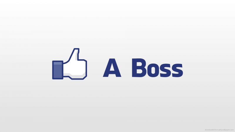Finalizando um projeto “like a boss”!